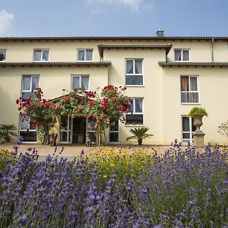 Mediterran Hotel Juwel Karlstein am Main Εξωτερικό φωτογραφία