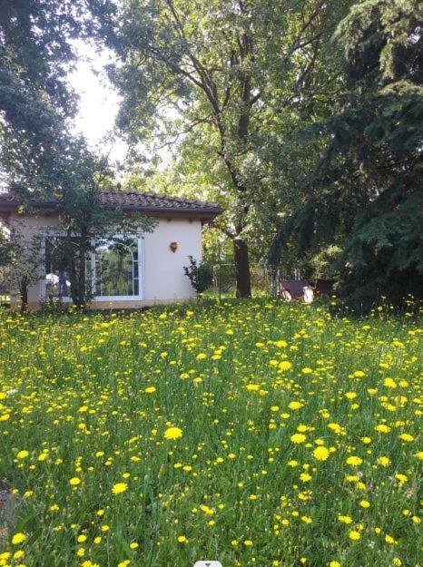Mediterran Hotel Juwel Karlstein am Main Εξωτερικό φωτογραφία